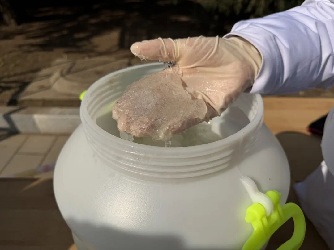 致敏花粉高发期到来！今年防治有“妙招”——