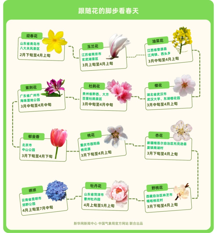 春风拂面花先知?揭秘花期背后的气象规律 春风拂面花先知?揭秘花期背后的气象规律