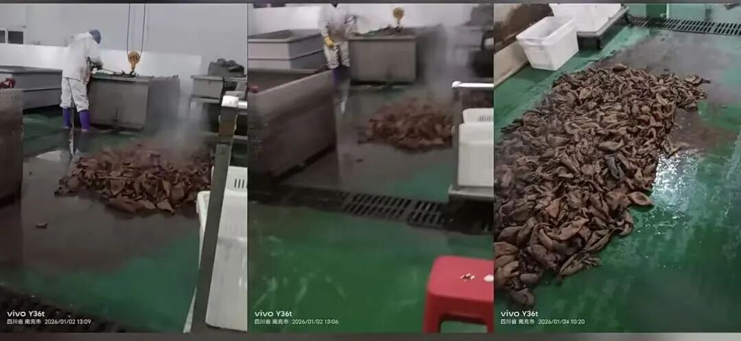 鹿哈已启动赔付,带货牛肚退一赔三,或需赔偿26.9亿元! 鹿哈已启动赔付,带货牛肚退一赔三,或需赔偿26.9亿元!