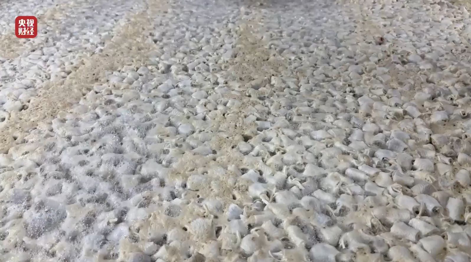 3·15晚会丨曝光黑心“漂白鸡爪”！生产车间令人作呕！有毒的双氧水随便用！