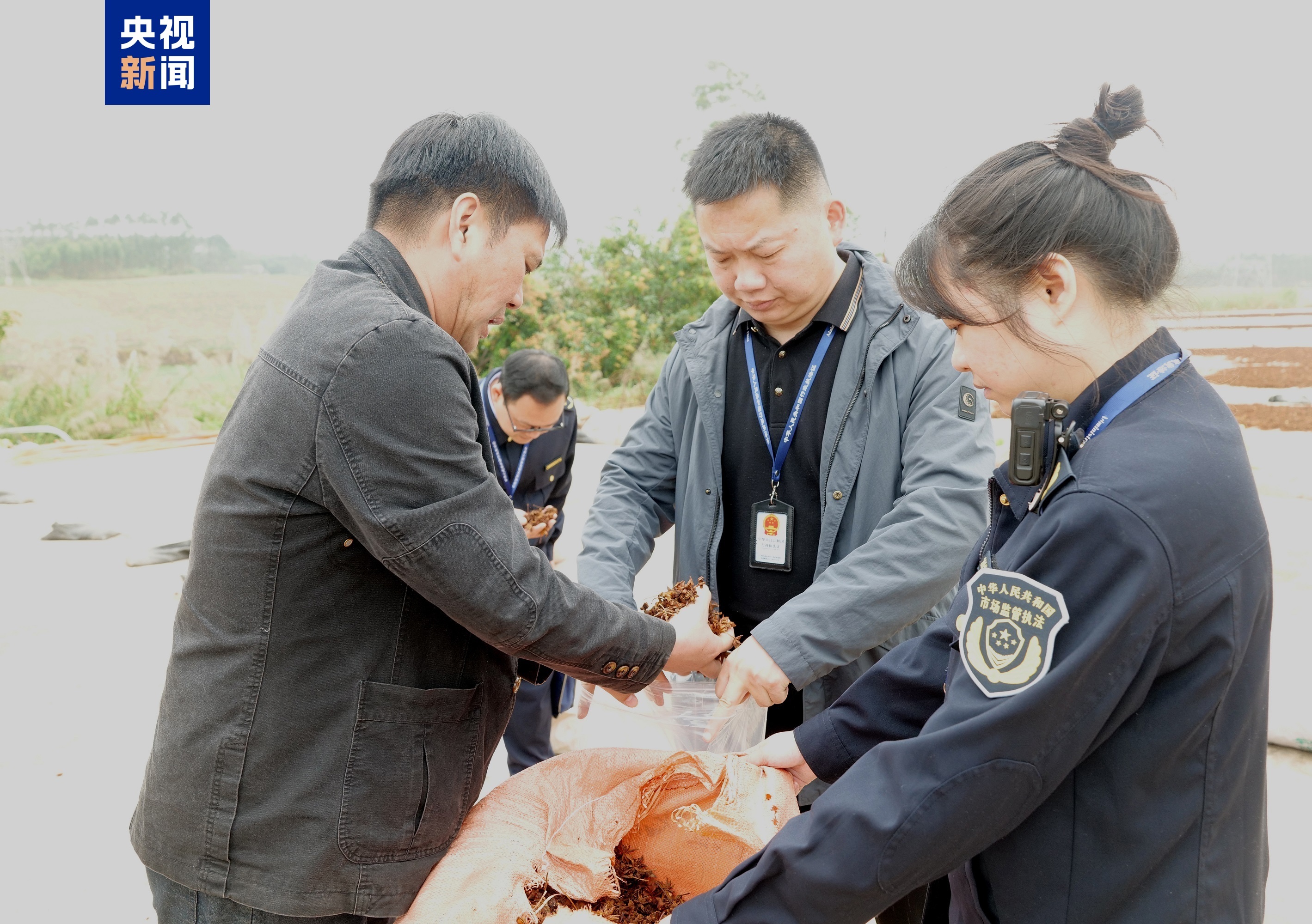 南宁调查处置“超硫八角”问题 广西全区紧急排查整治