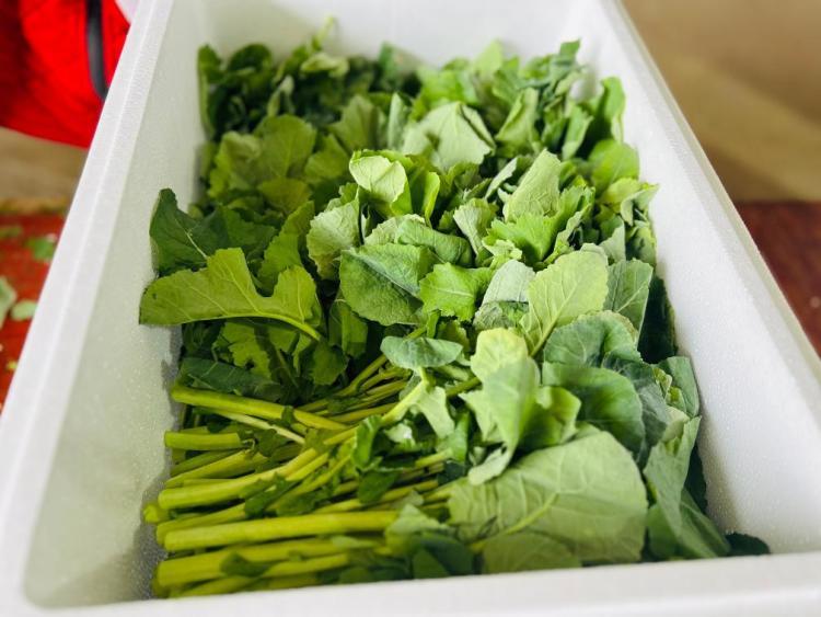 这款名字有点特别的蔬菜，为何爆火了？