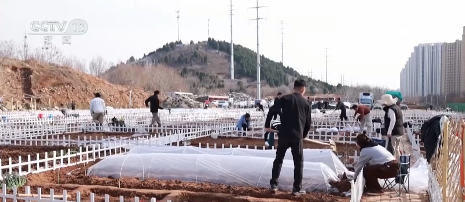 闲置农田变身“共享菜园” 现实版“开心农场”成为推动城乡融合新载体 闲置农田变身“共享菜园” 现实版“开心农场”成为推动城乡融合新载体