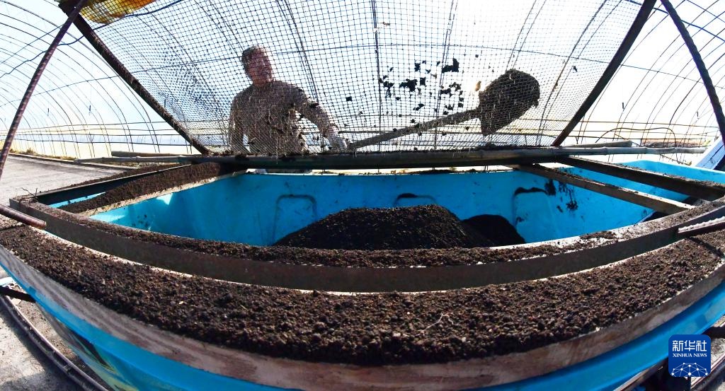 黑龙江北大荒抢抓农时备春耕