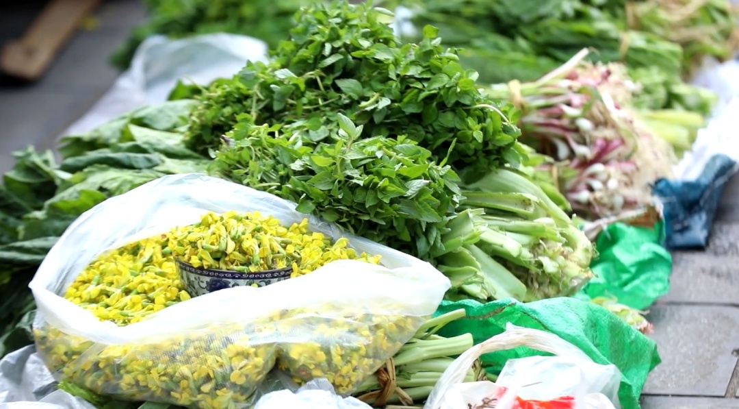 春季尝鲜，野菜正当“食”！注意！别让“尝鲜”变“尝险”