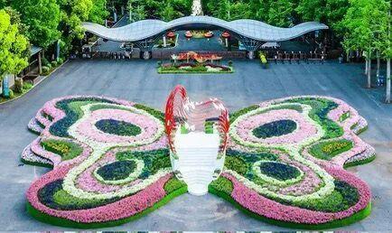 上海崇明举办“睡觉比赛”：第一名“睡神”奖金3000元，报名人数超百名，首场比赛名额已满