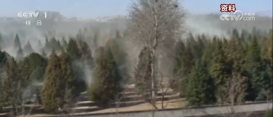 多地进入春季花粉过敏高发期 “秘密武器”助力花粉治理 多地进入春季花粉过敏高发期 “秘密武器”助力花粉治理