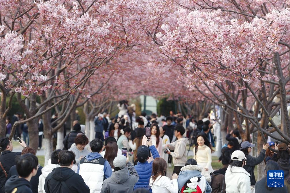 踏青赏花享春光