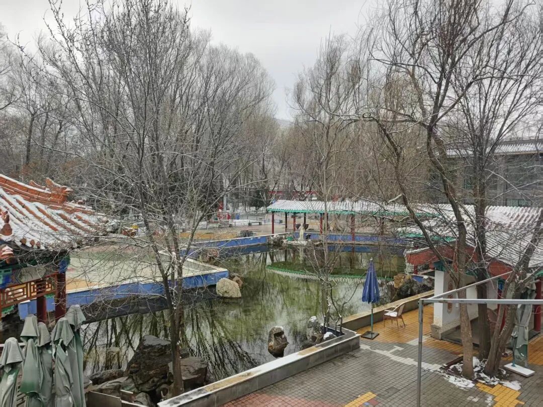 今天,雪中的西宁美成这样...... 今天,雪中的西宁美成这样......