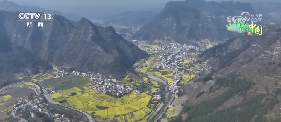 一片金色花海,把“春日流量”装进了村民的“钱袋子” 一片金色花海,把“春日流量”装进了村民的“钱袋子”