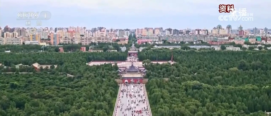 花粉过敏成“春日烦恼” 过敏“元凶”圆柏为何不能一砍了之? 花粉过敏成“春日烦恼” 过敏“元凶”圆柏为何不能一砍了之?