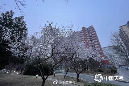 北京西部北部今天傍晚至前半夜有阵雨 雨后阵风可达六级左右