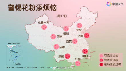 敏感人群注意！各地花粉浓度进入高峰期 这份防护攻略请收好