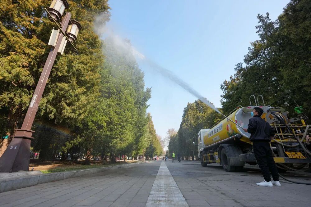 北京花粉浓度高峰来了！过敏“忍忍”就能好吗？