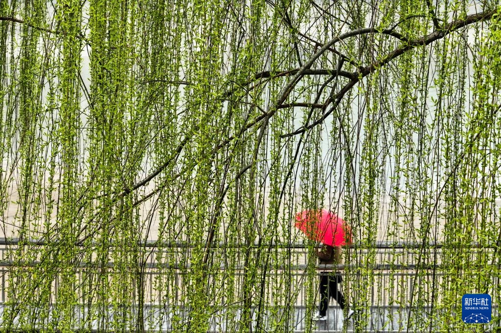 踏青赏花享春光