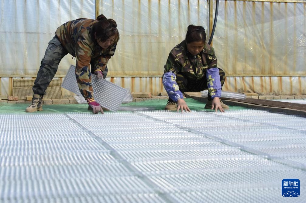 黑龙江北大荒抢抓农时备春耕