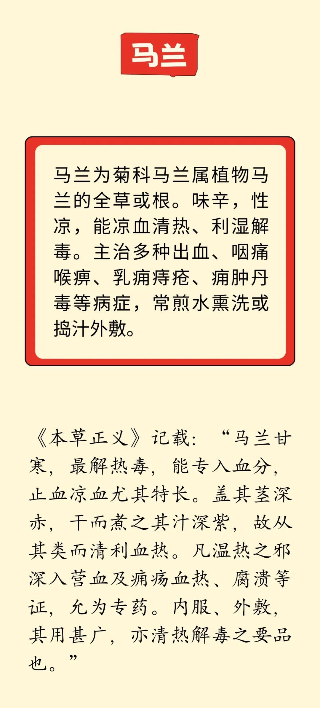 这几种“马姓”中药，是老祖宗的智慧，90%的人都不知道