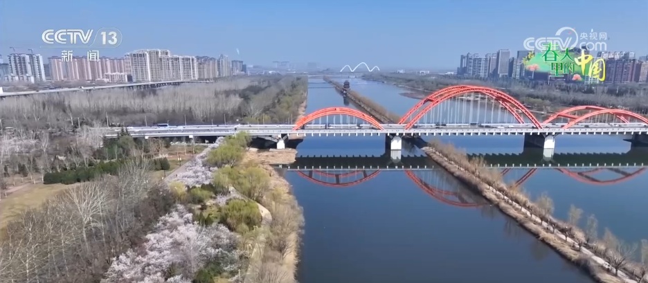 以花为媒解锁“赏花经济”新活力 沉浸式“春日嘉年华”焕发文旅“美丽”动能