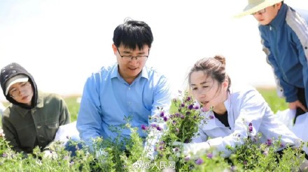 我国科学家发现零污染微生物除草剂