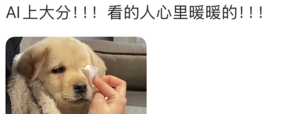 “能帮忙找工作吗我有点自闭？”四川21岁男生求助，人社局给出“保姆级”求职教程