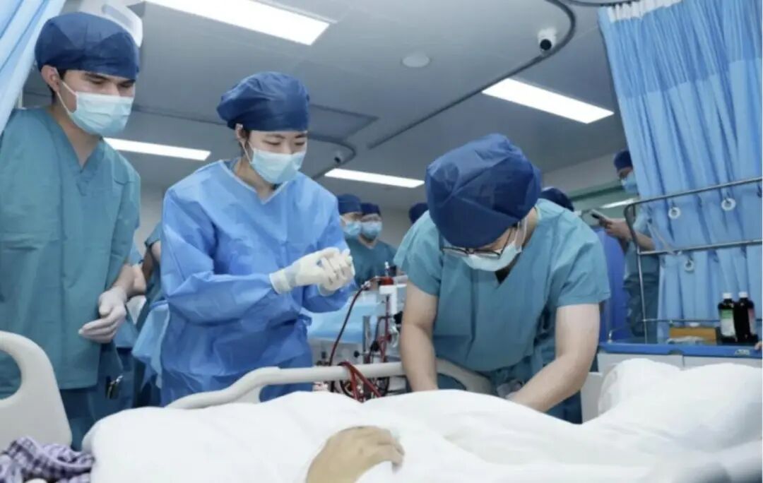 国际首例！猪肝“外挂”66小时，广州的这例手术改写肝衰竭生死局