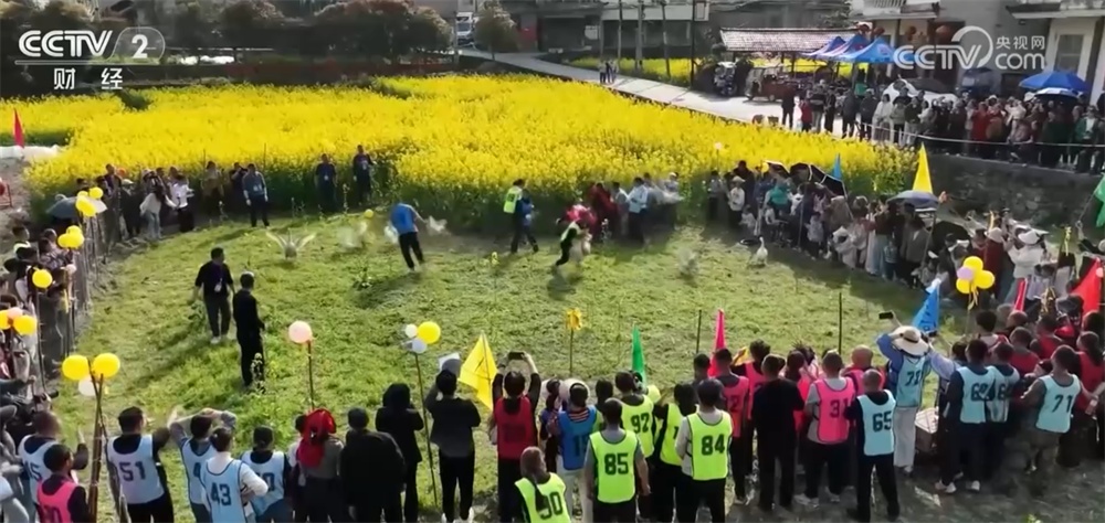 “花样经济”让群众在家门口乐享“诗与远方” 赶赴“春天的约会”燃动文旅市场