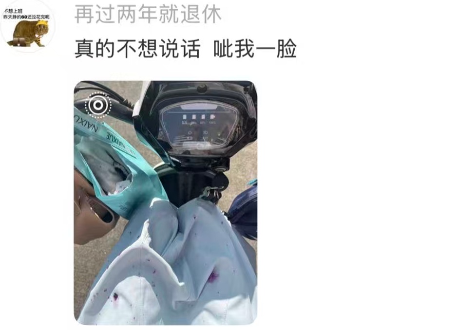 又来！上海街头大量出现，中招市民苦不堪言！将持续到4月，重要提醒