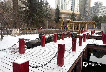 青海西宁迎降雪 大地一片银白