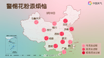 敏感人群注意！各地花粉浓度进入高峰期 这份防护攻略请收好