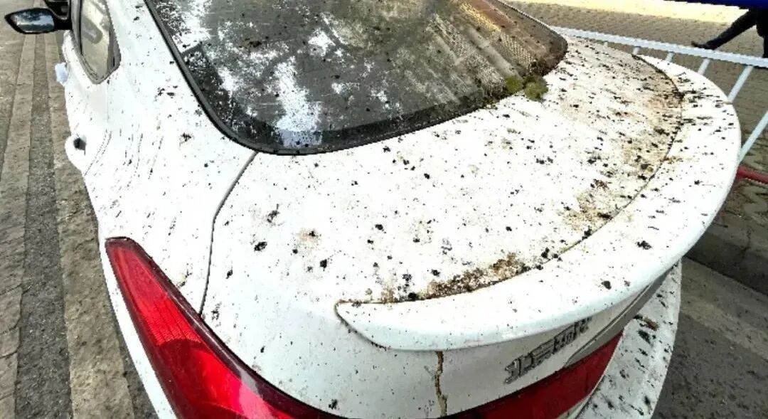 又来！上海街头大量出现，中招市民苦不堪言！将持续到4月，重要提醒