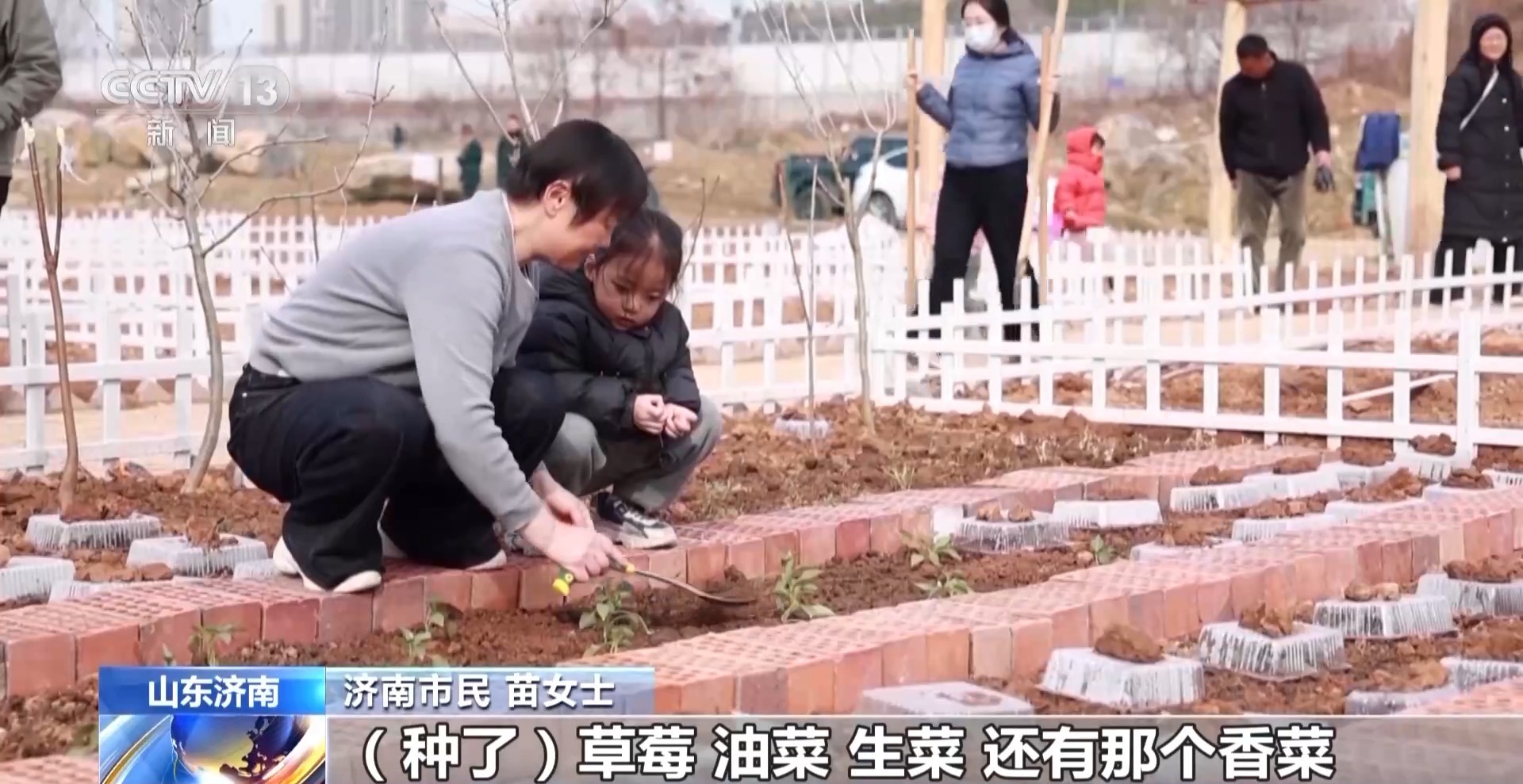 济南“共享菜地”走红 三种模式让市民体验农耕乐 济南“共享菜地”走红 三种模式让市民体验农耕乐