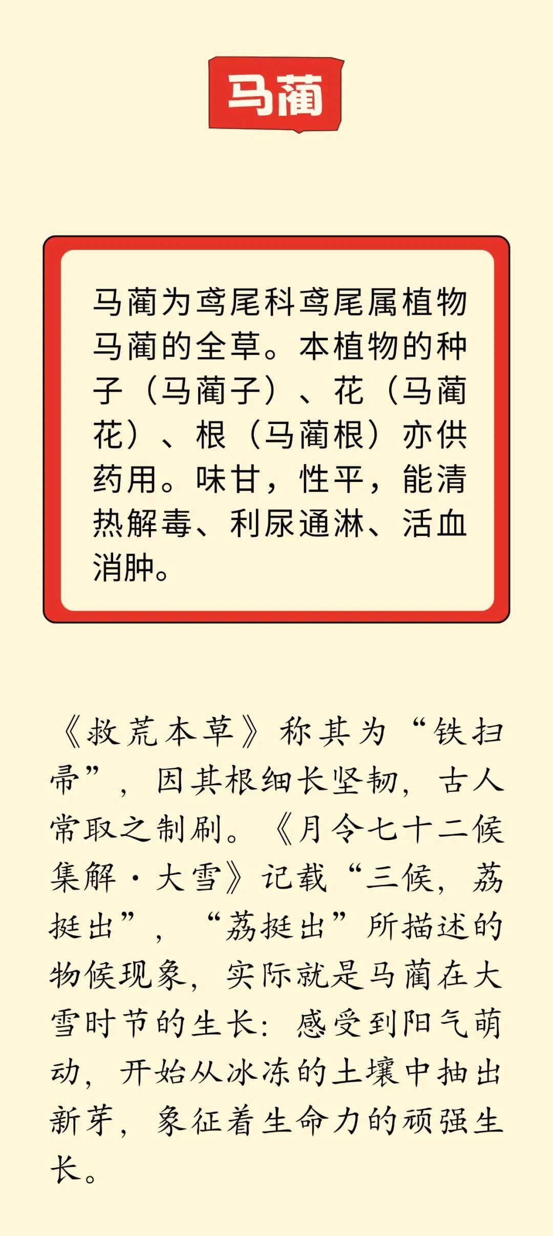 这几种“马姓”中药，是老祖宗的智慧，90%的人都不知道
