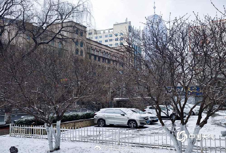 青海西宁迎降雪 大地一片银白