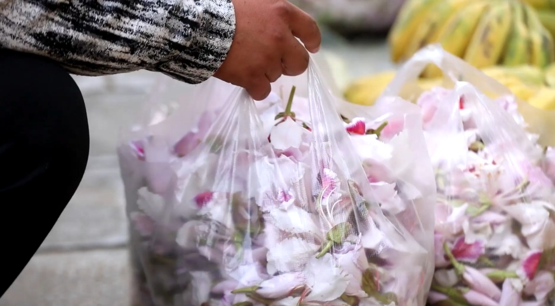 春季尝鲜，野菜正当“食”！注意！别让“尝鲜”变“尝险”