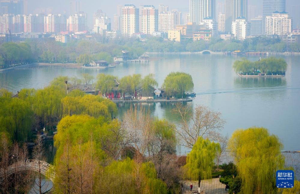 春到大明湖