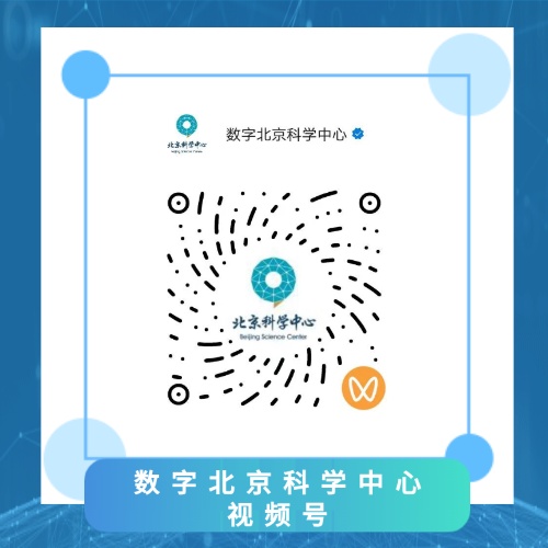 人脸认证会拍到上半身？闪烁的红绿蓝光有啥用？
