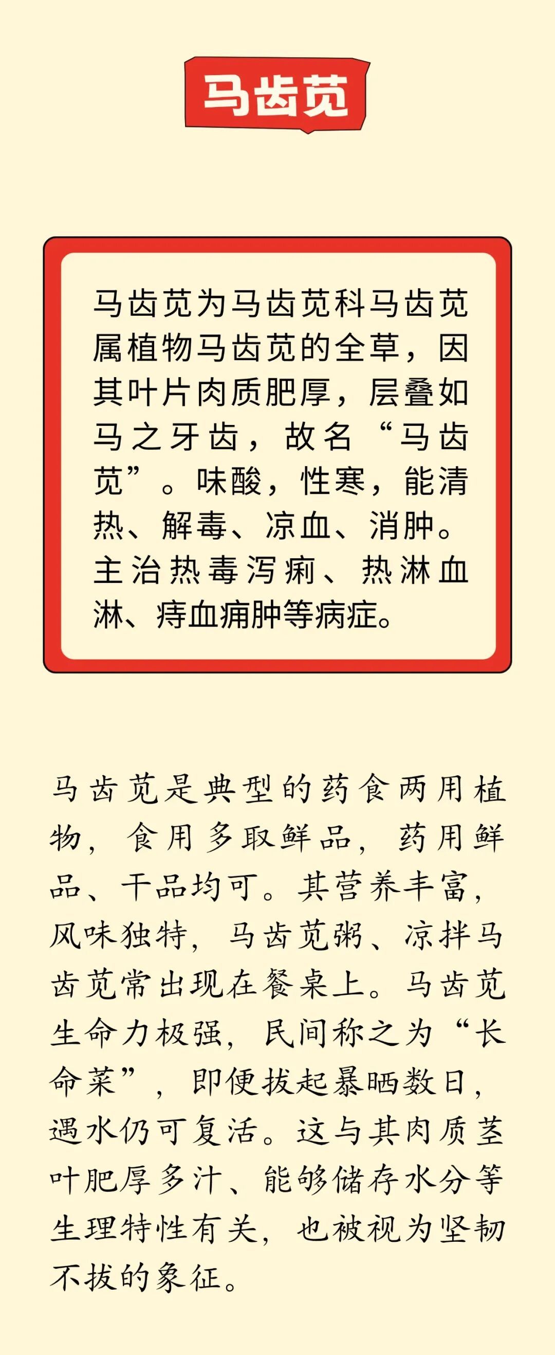 这几种“马姓”中药，是老祖宗的智慧，90%的人都不知道