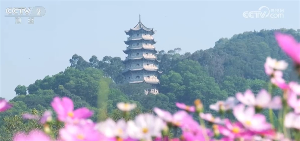 “花样经济”让群众在家门口乐享“诗与远方” 赶赴“春天的约会”燃动文旅市场