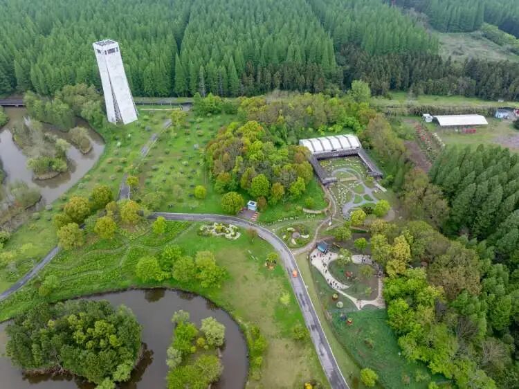 真躺着赚钱？崇明森林睡眠挑战赛招募，第一名“睡神”奖金3000元，却引发网友疑问...