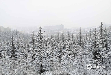 青海西宁迎降雪 大地一片银白