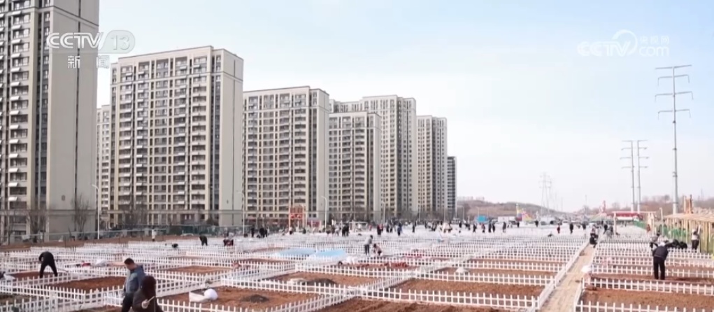 闲置农田变身“共享菜园” 现实版“开心农场”成为推动城乡融合新载体 闲置农田变身“共享菜园” 现实版“开心农场”成为推动城乡融合新载体