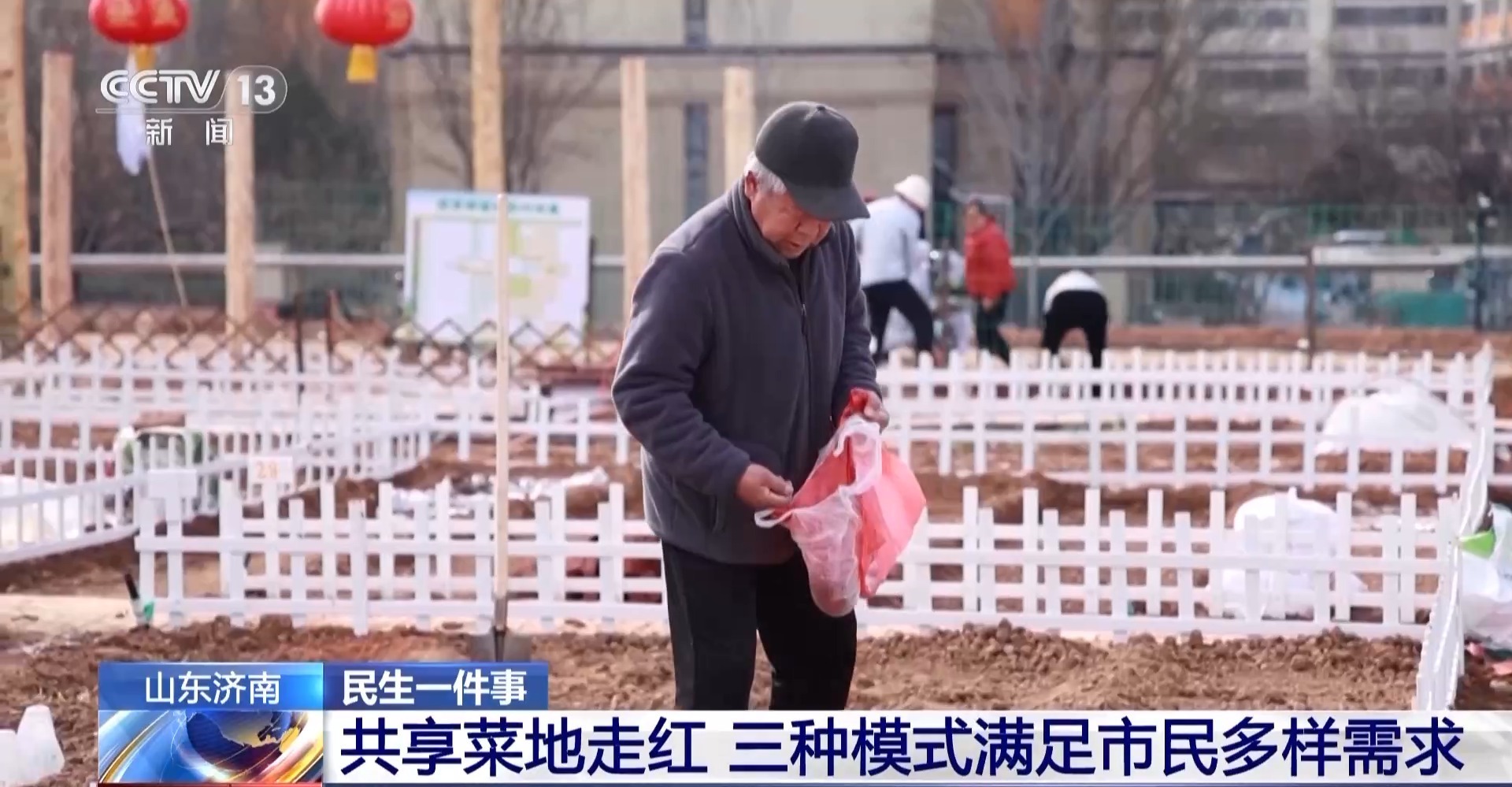 济南“共享菜地”走红 三种模式让市民体验农耕乐 济南“共享菜地”走红 三种模式让市民体验农耕乐