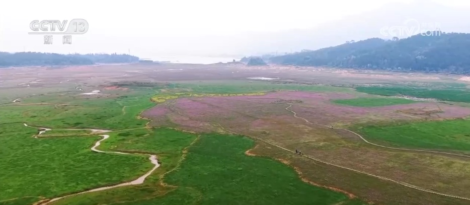 以花为媒解锁“赏花经济”新活力 沉浸式“春日嘉年华”焕发文旅“美丽”动能