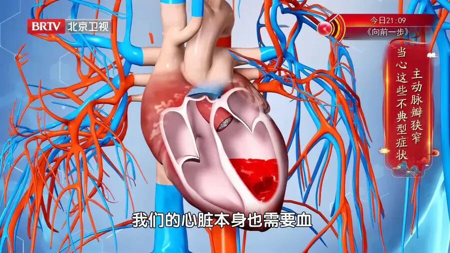 一把“清肝草”，春日养肝清浊又护眼