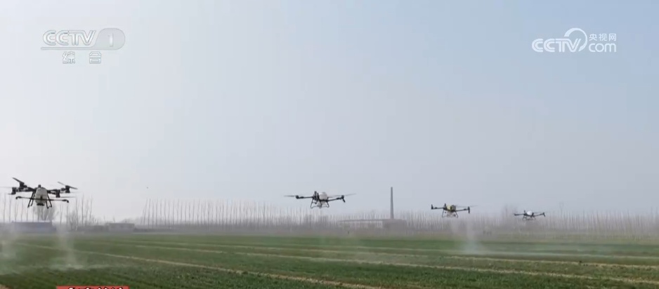 抢抓窗口期、提供“营养餐” 精细化田管为夏粮丰收按下“确认键” 抢抓窗口期、提供“营养餐” 精细化田管为夏粮丰收按下“确认键”