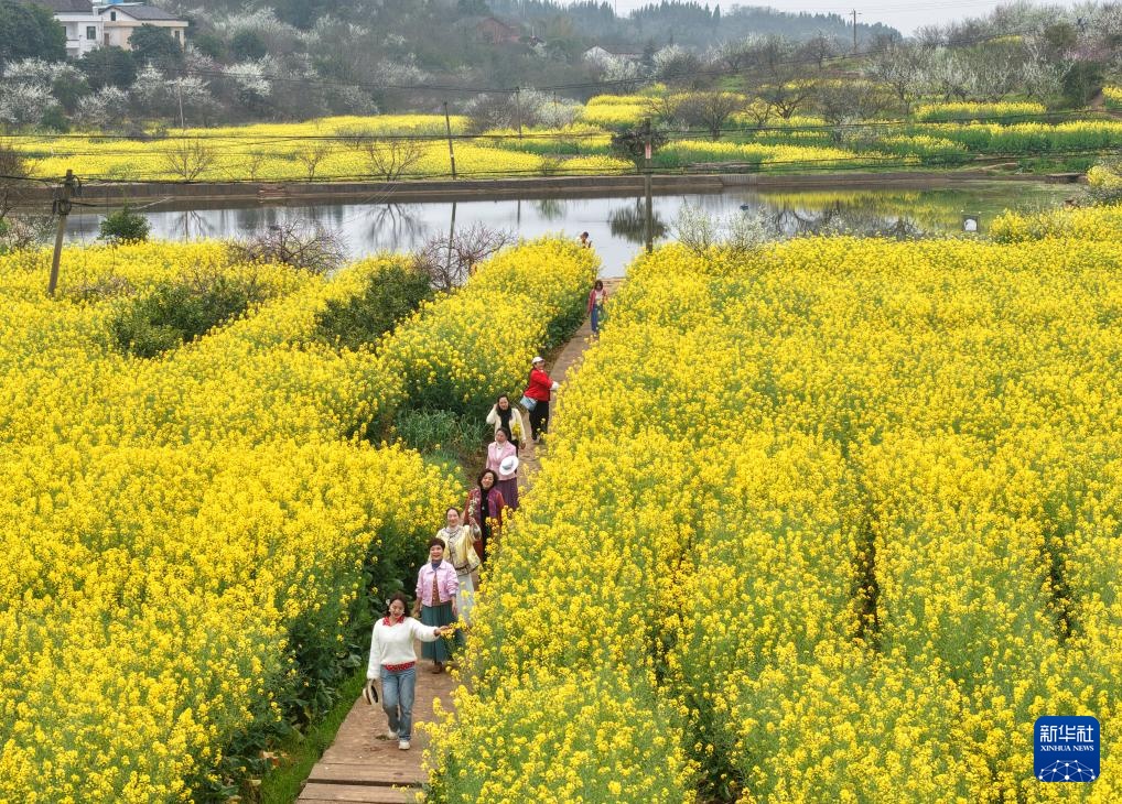 踏青赏花享春光