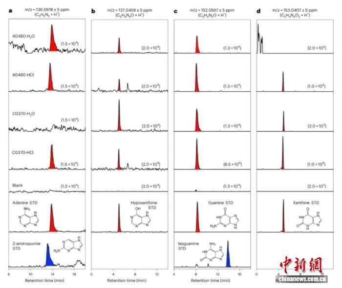 最新天文研究:小行星“龙宫”样本中检测到全部五种核碱基 最新天文研究:小行星“龙宫”样本中检测到全部五种核碱基