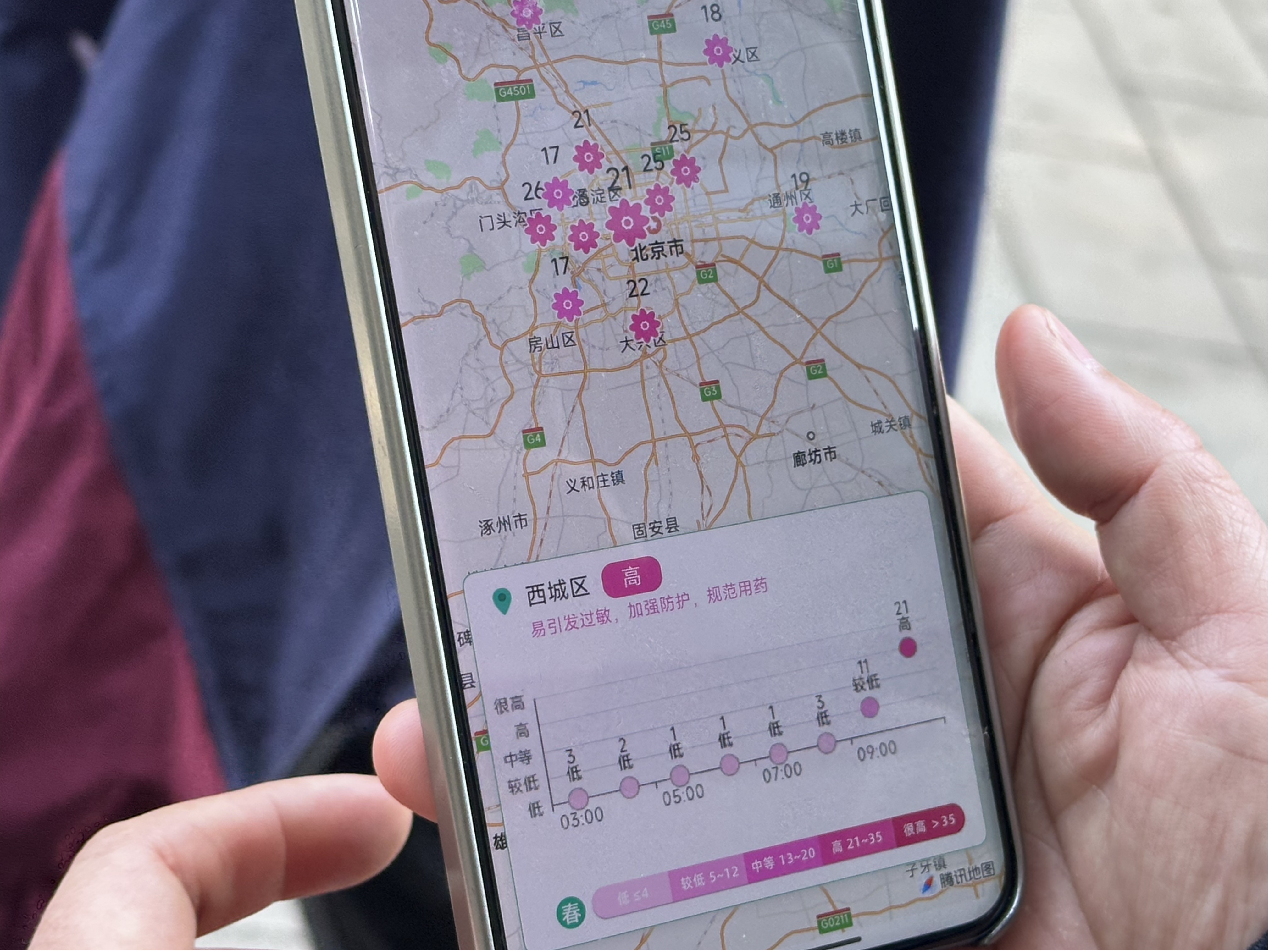 北京将迎柏科花粉浓度高峰 今年“治粉”有哪些新招 北京将迎柏科花粉浓度高峰 今年“治粉”有哪些新招