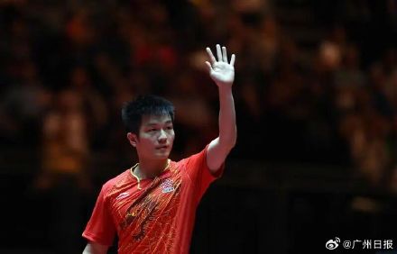 重返杜塞尔多夫的樊振东已达新境界，樊振东影响力不只辐射至杜塞尔多夫