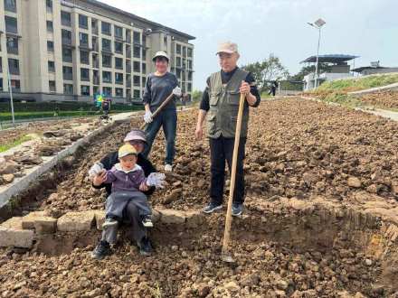 缙云山下种块地是什么体验？北碚推出“农田出租”引发居民热捧